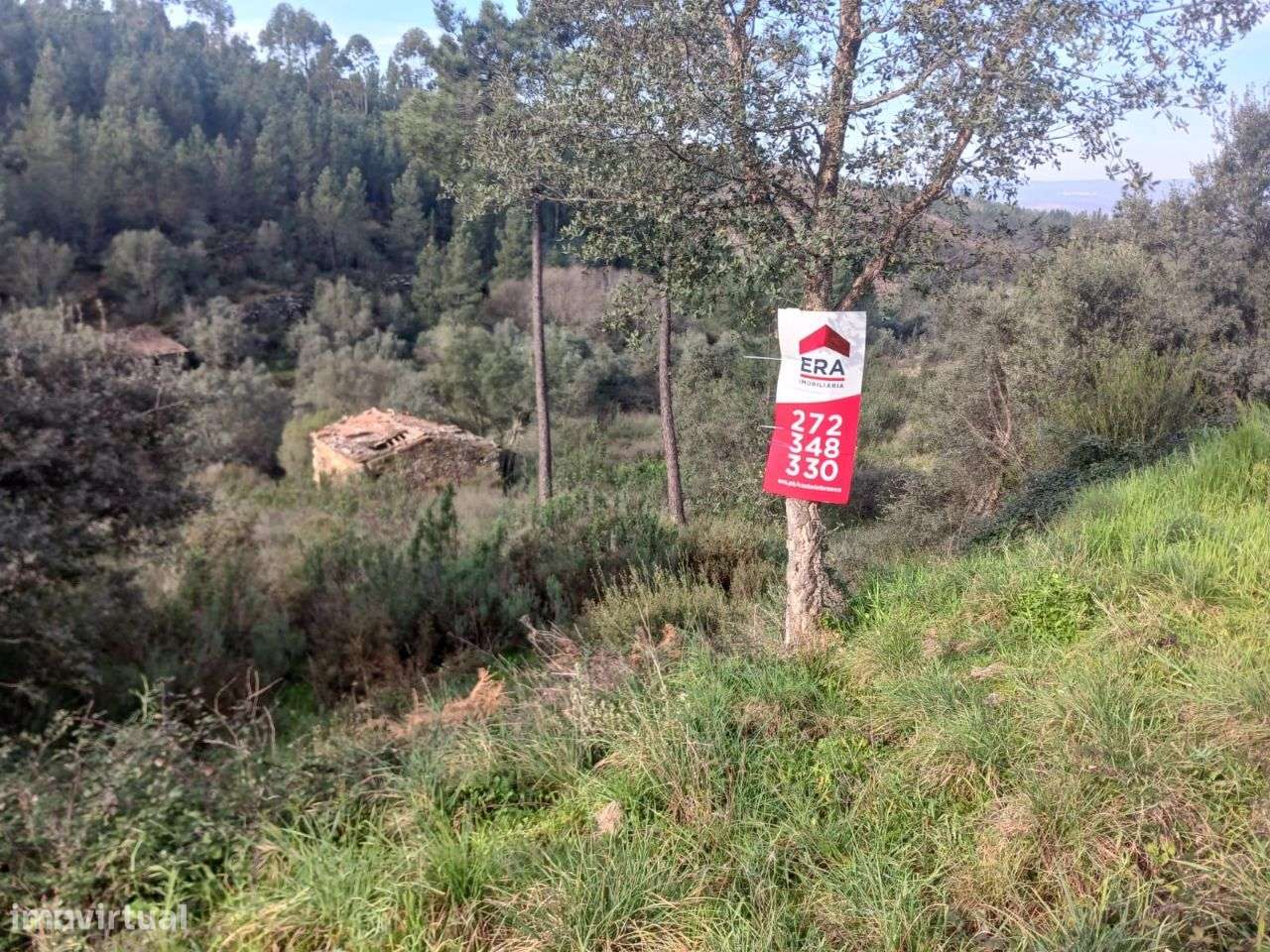 Terreno - Grande imagem: 4/6