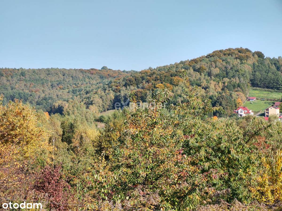 Tylko 500 tys za 68m2 - 45min do Krakowa Taniej - Pełny obrazek: 5/5