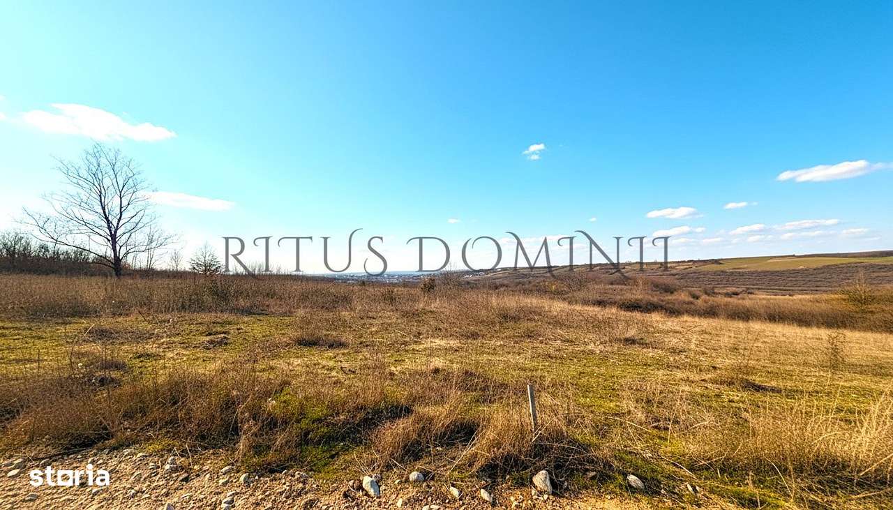 Teren Intravilan Parcelare, Lac Paleu, 8592mp, Deschidere 32ml-1