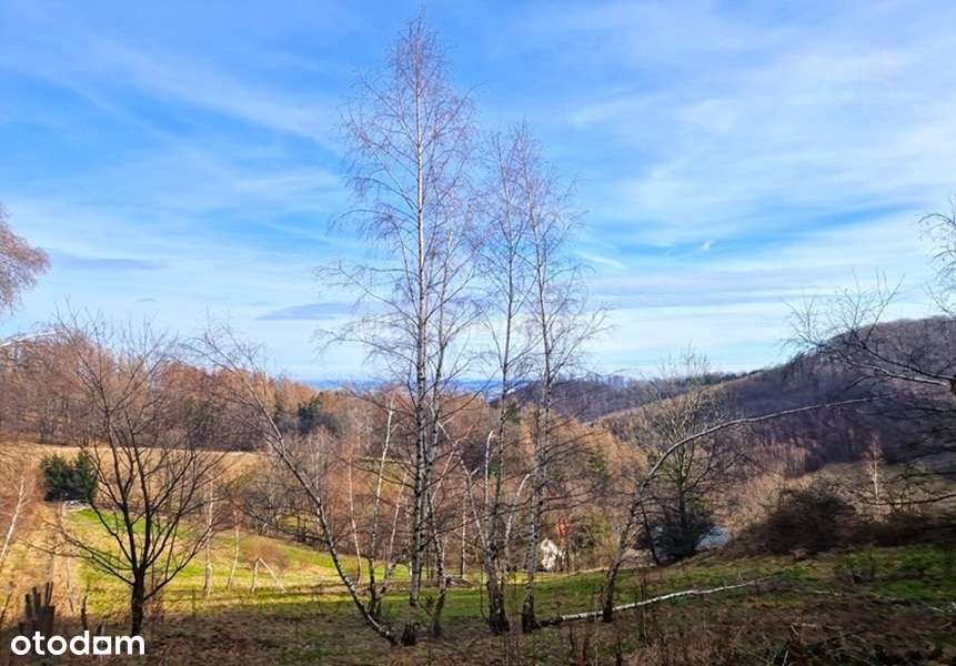 Duża działka budowlano-inwestycyjna/Góry Sowie!-5