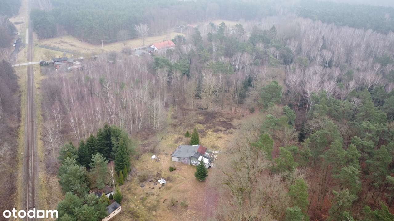 Działka 1,4 ha, GZIN, gmina Dąbrowa Chełmińska-11