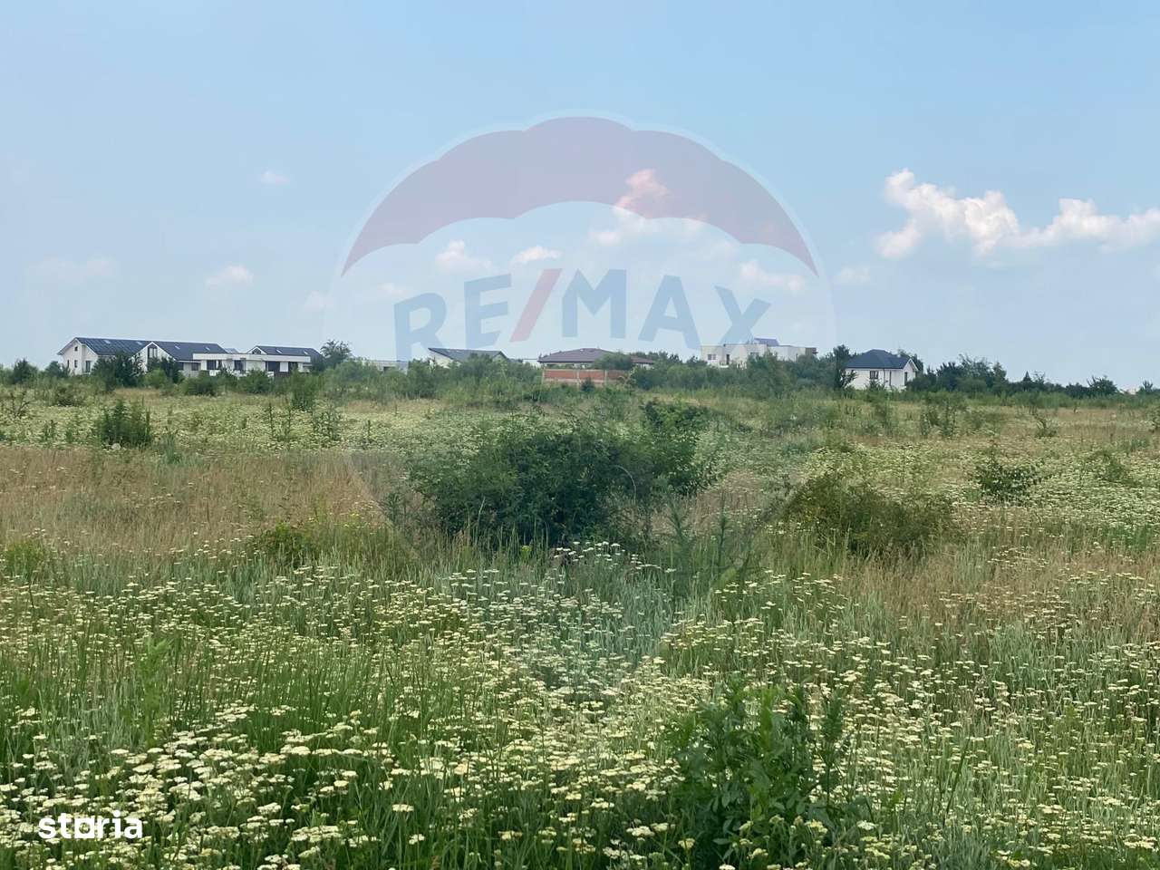 DE VANZARE Teren intravilan 600mp Drumul Piscul Mosului SISESTI-13