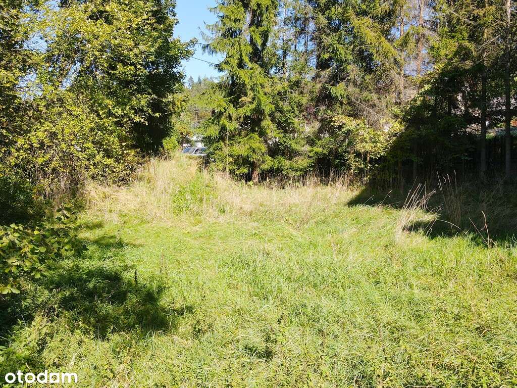 Dom o pow. 450 m2 w Orawce-10