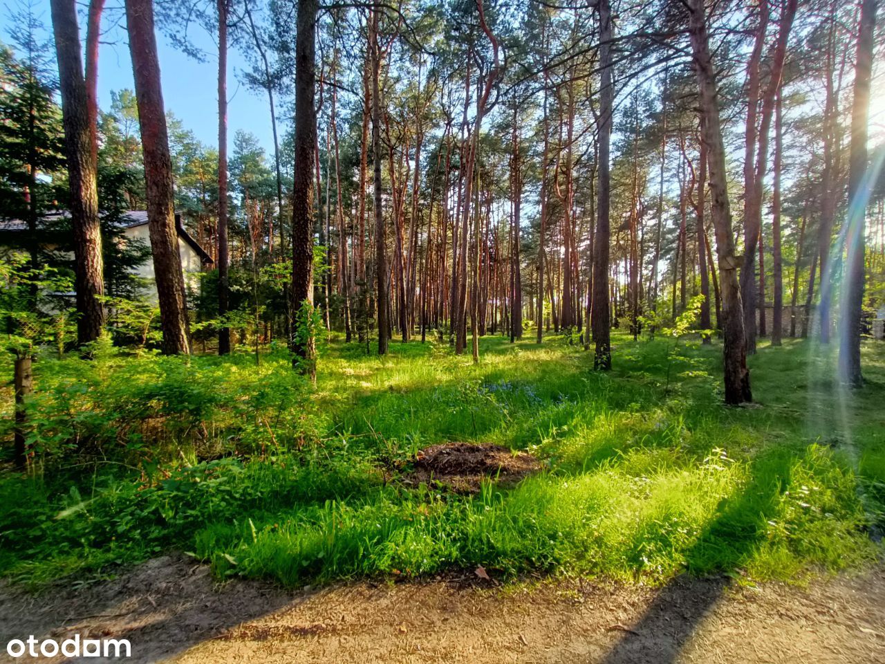 Działka 1086m², Zaborze, gm. Żarki,