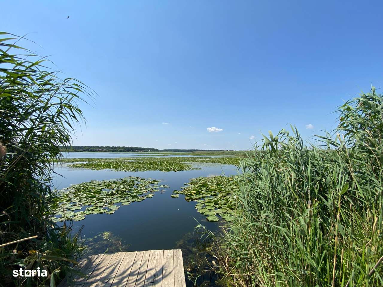 Teren intravilan 17 m deschidere Lac Silistea Snagovului - Imagine principală: 3/5