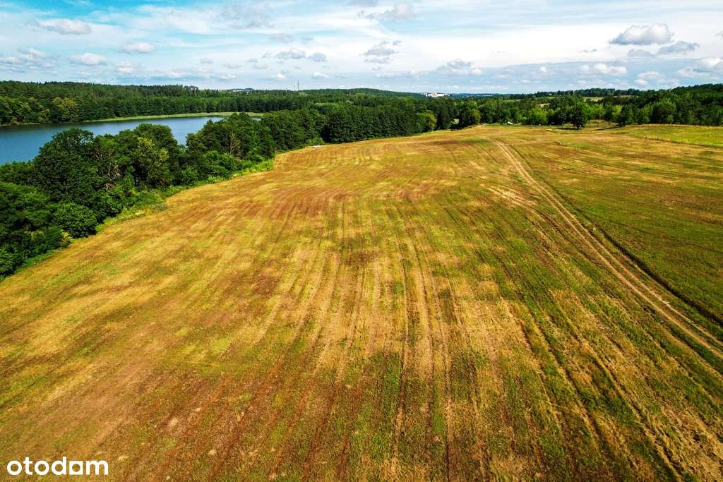 Działki z linią brzegową oraz z dostępem do jeziora Wierzbowskiego-10