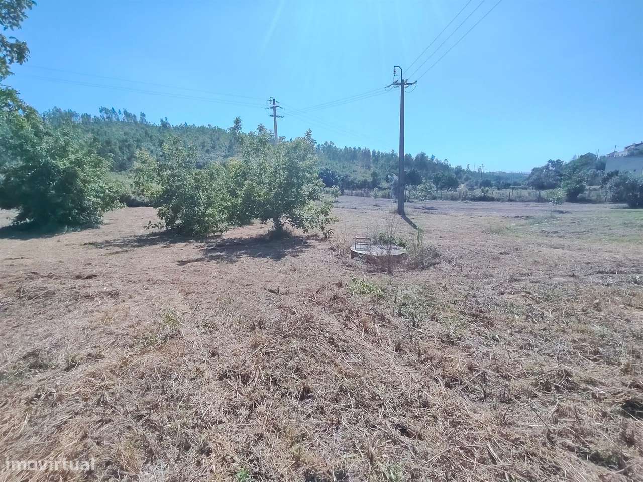 Moradia / Terreno / Poço / Colmeias / Leiria-5