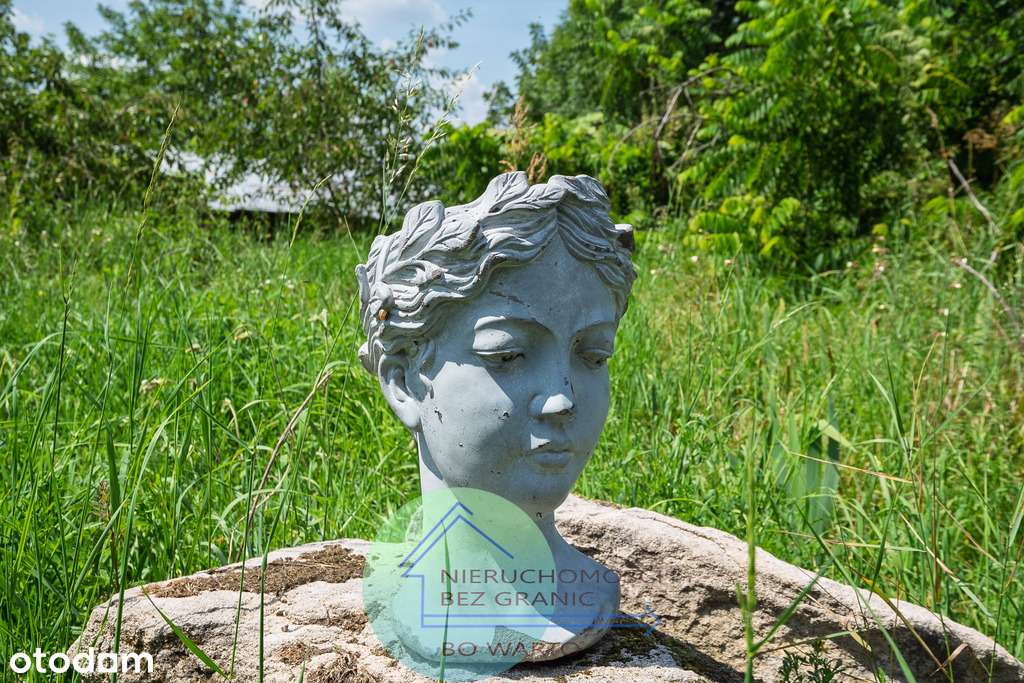 Zabytkowy Dworek: piękna-uzdrowiskowa okolica-3