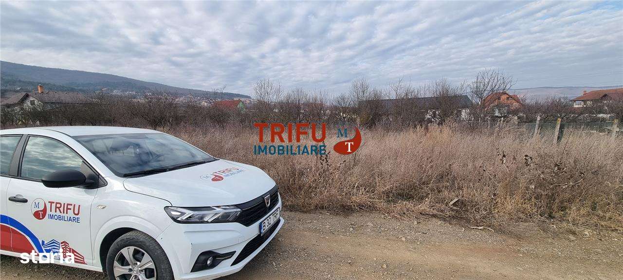 Teren intravilan 350 mp de vanzare Alba Micesti cu toate utilitatile - Imagine principală: 4/5