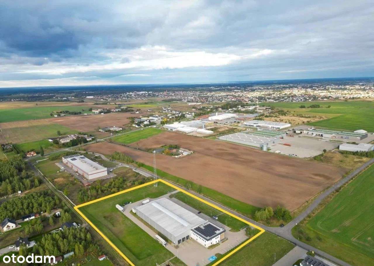 Hala magazynowo produkcyjna 4000 m2 - Pełny obrazek: 4/9