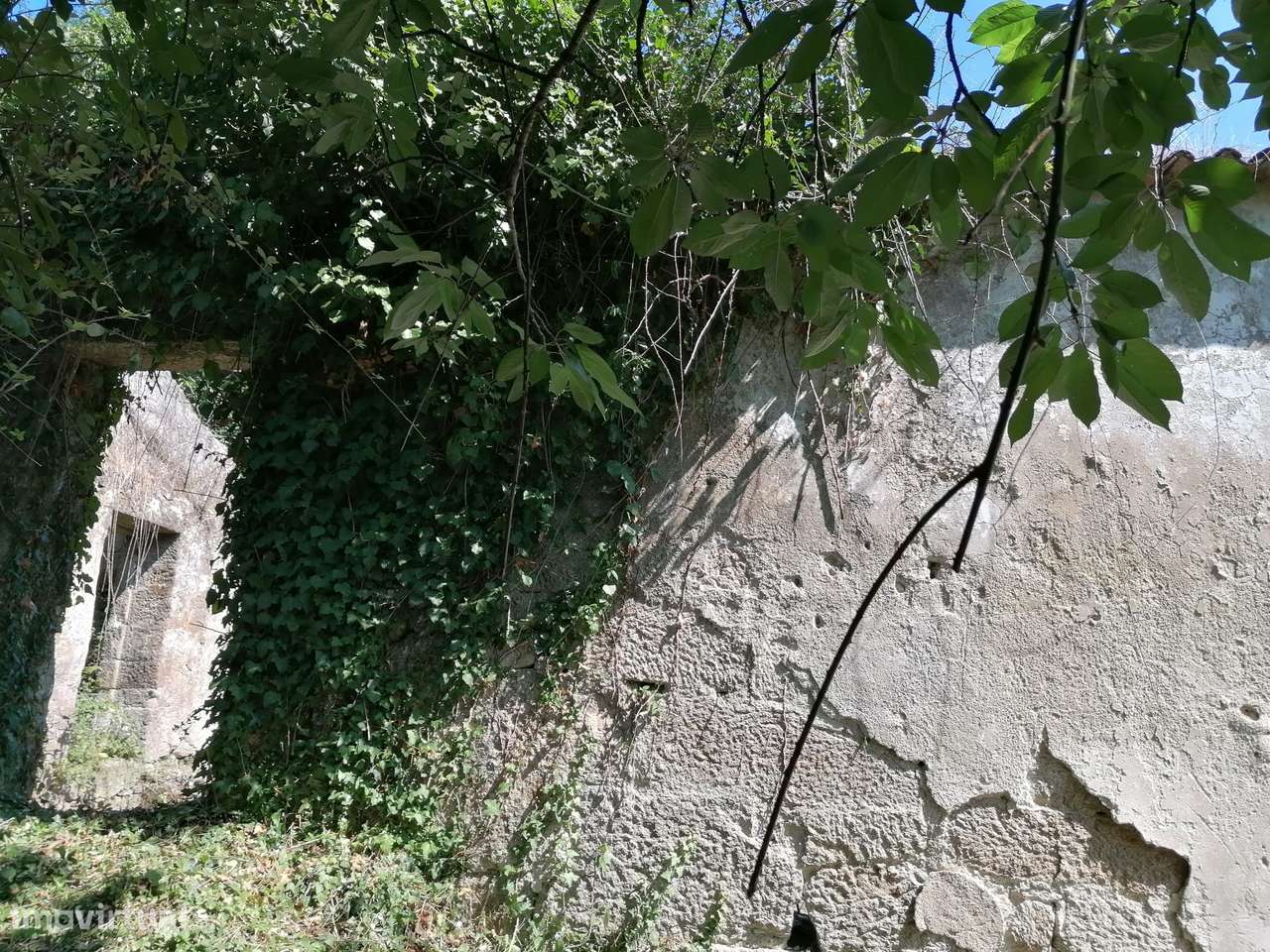 Quinta  Venda em Penhalonga e Paços de Gaiolo,Marco de Canaveses-33