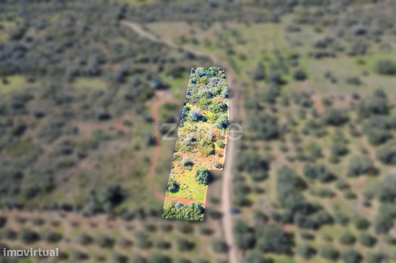 Terreno Rústico com 3 660² na Franqueira - Grande imagem: 3/17