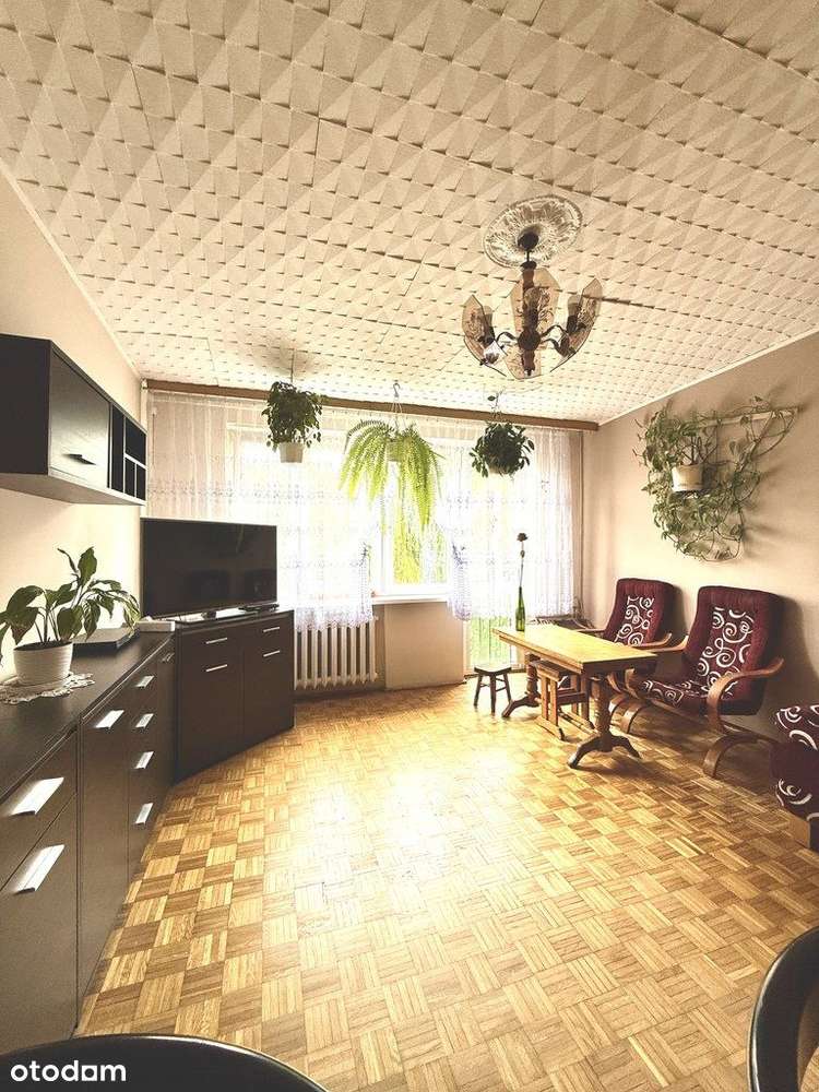 Przytulne mieszkanie centrum Pruszkowa-0