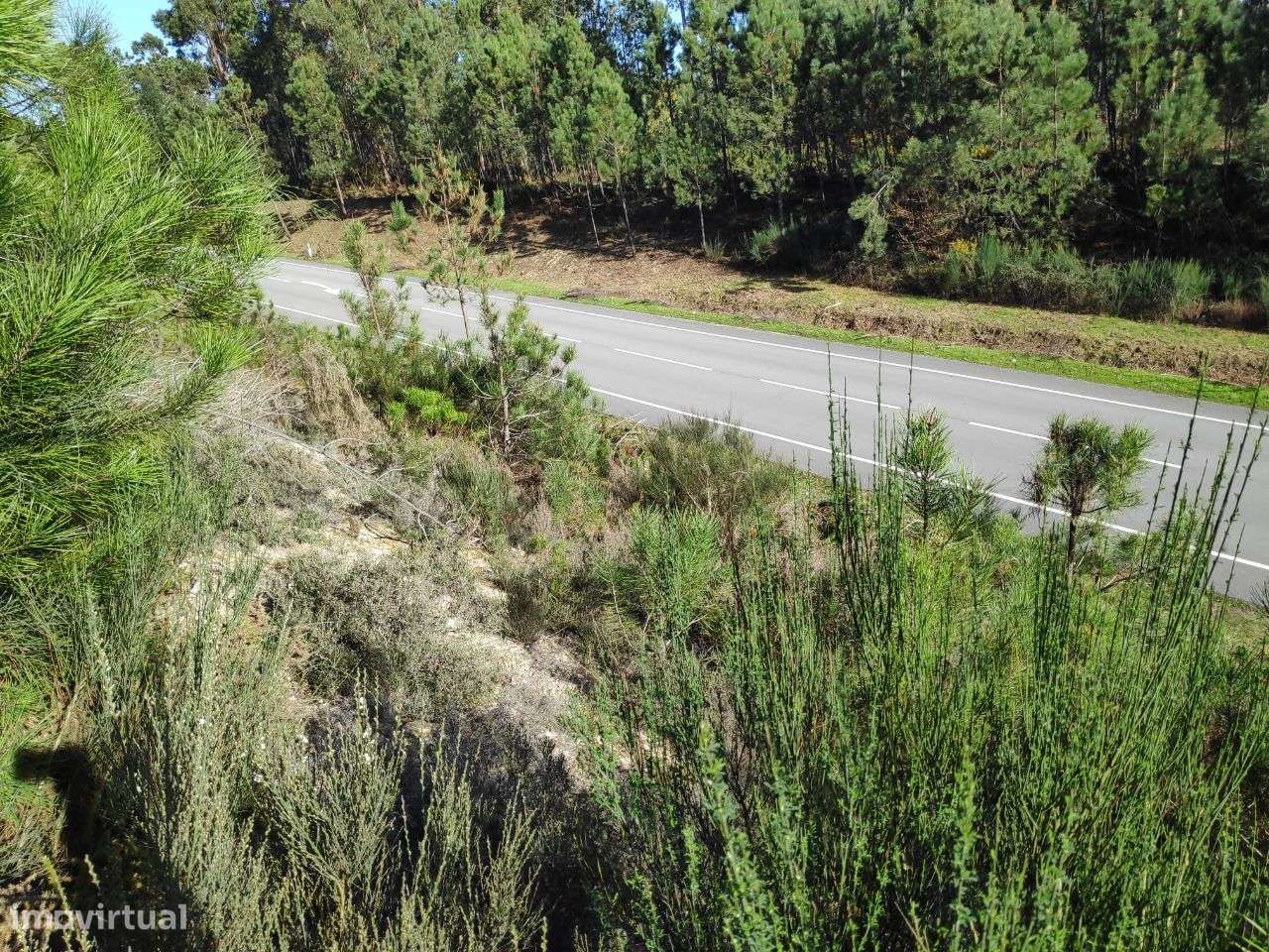 Terreno Rústico a 6 Kms do Centro - Grande imagem: 5/12