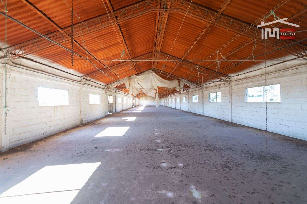 Antigo Aviario para venda - Grande imagem: 5/18