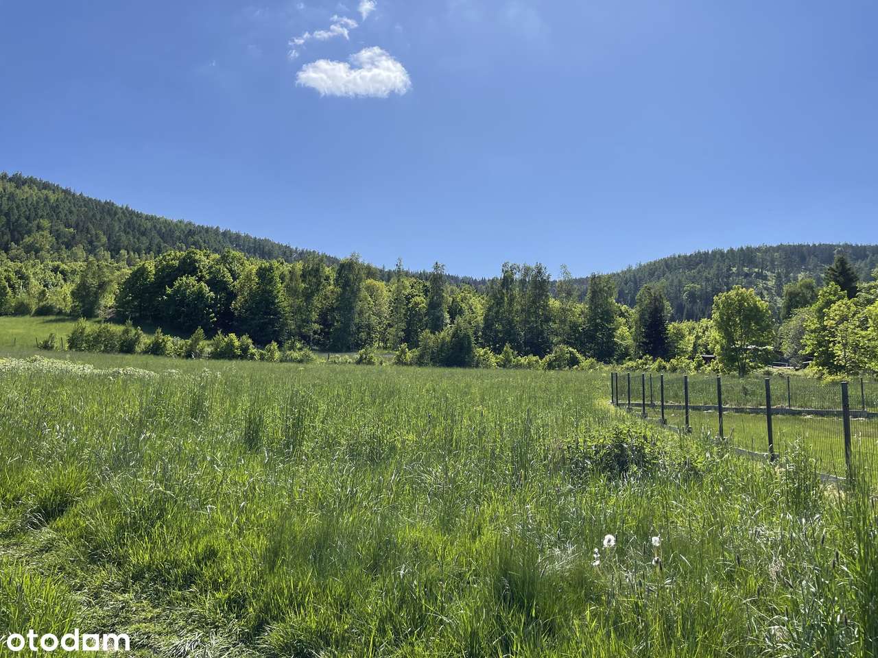 Duży słoneczny grunt przy lesie. Piękne widoki, cisza, spokój, góry!-5