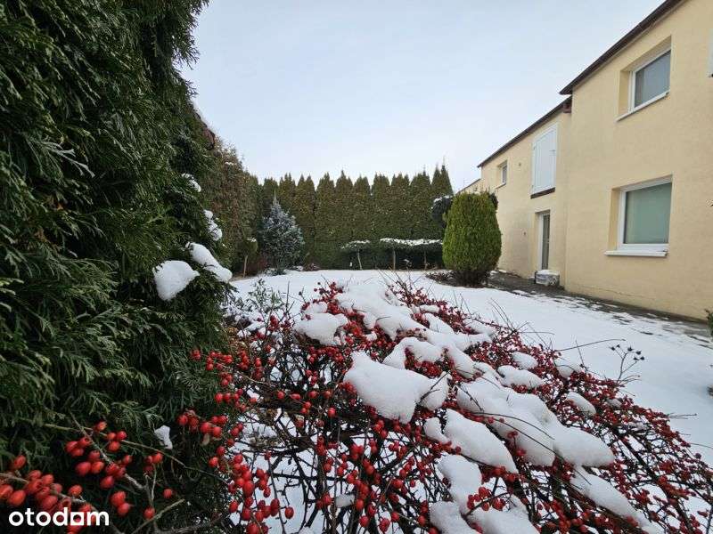 Dom 5cio pokojowy w Grodzisku Wlkp. o pow. 142,70 m2  plus piwnica-3