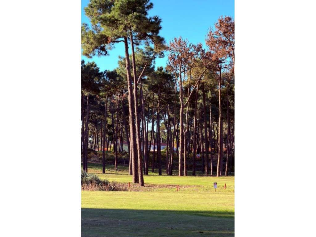 Moradia T7 Herdade da Aroeira - Grande imagem: 4/16