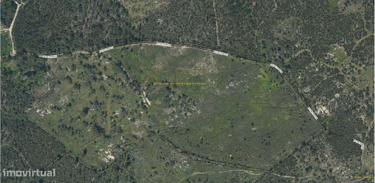 Propriedade Rústica em Santo Tirso-9