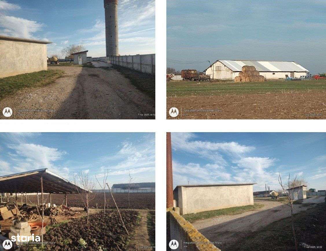 Constructii - 650 mp + Teren 7.750 mp, Crangeni - Imagine principală: 4/4