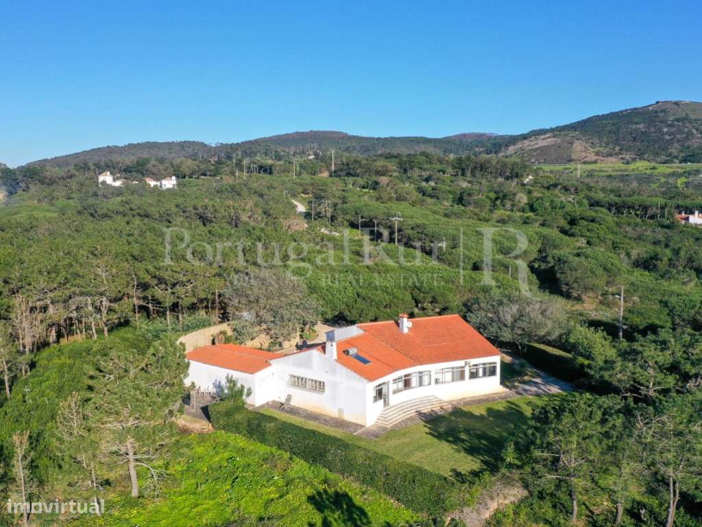 Quintinha com vista mar na região de Colares - Sintra - Grande imagem: 4/31