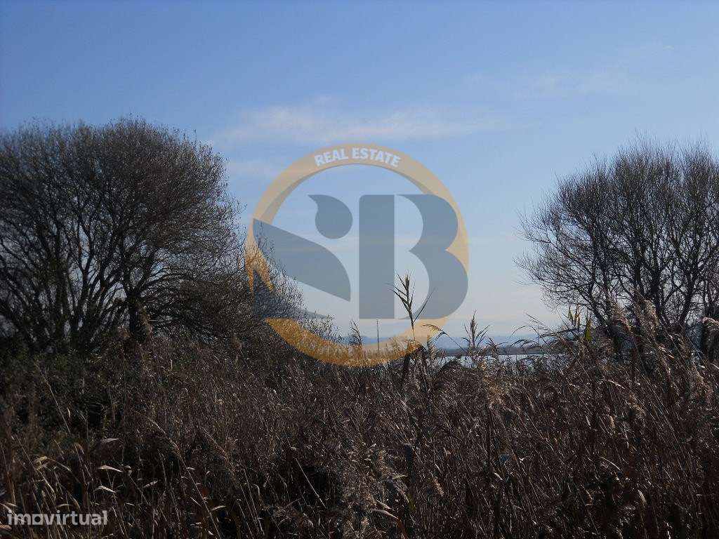 Terreno Ovar - Grande imagem: 4/5