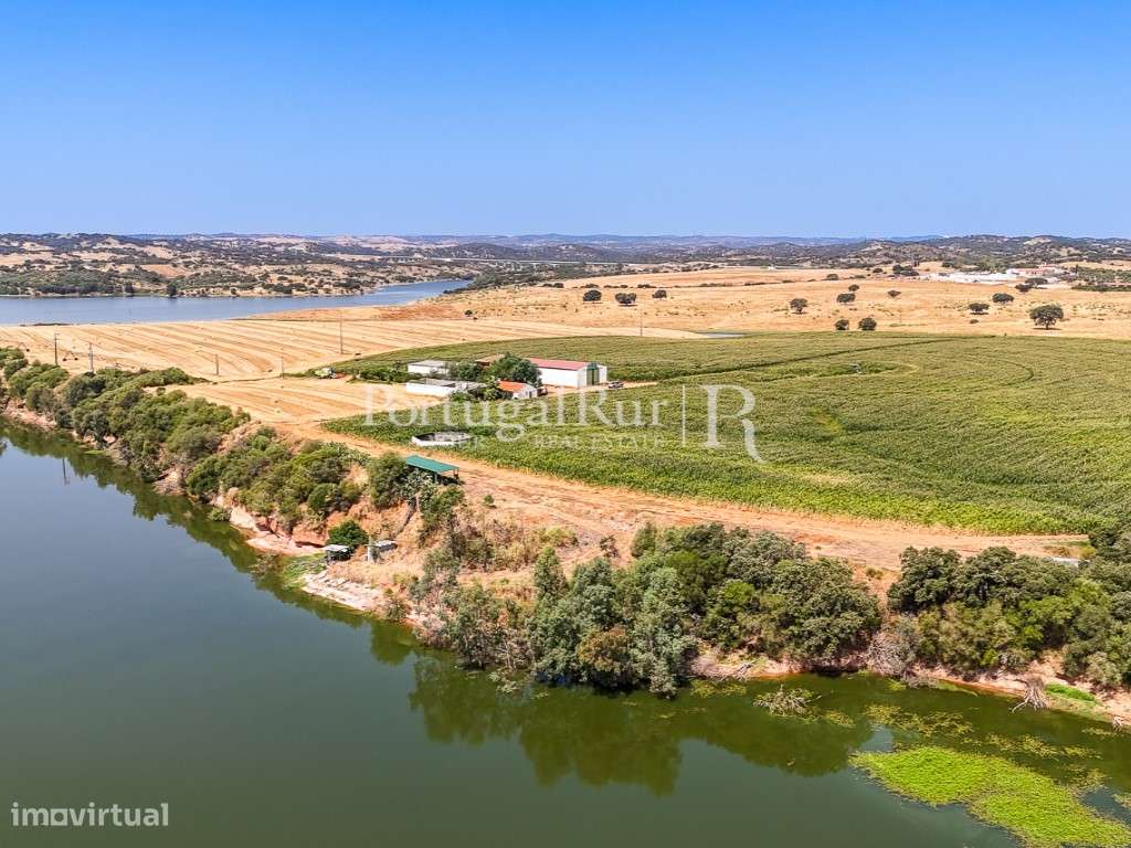 Herdade de regadio com 30 hectares em Évora - Grande imagem: 2/45