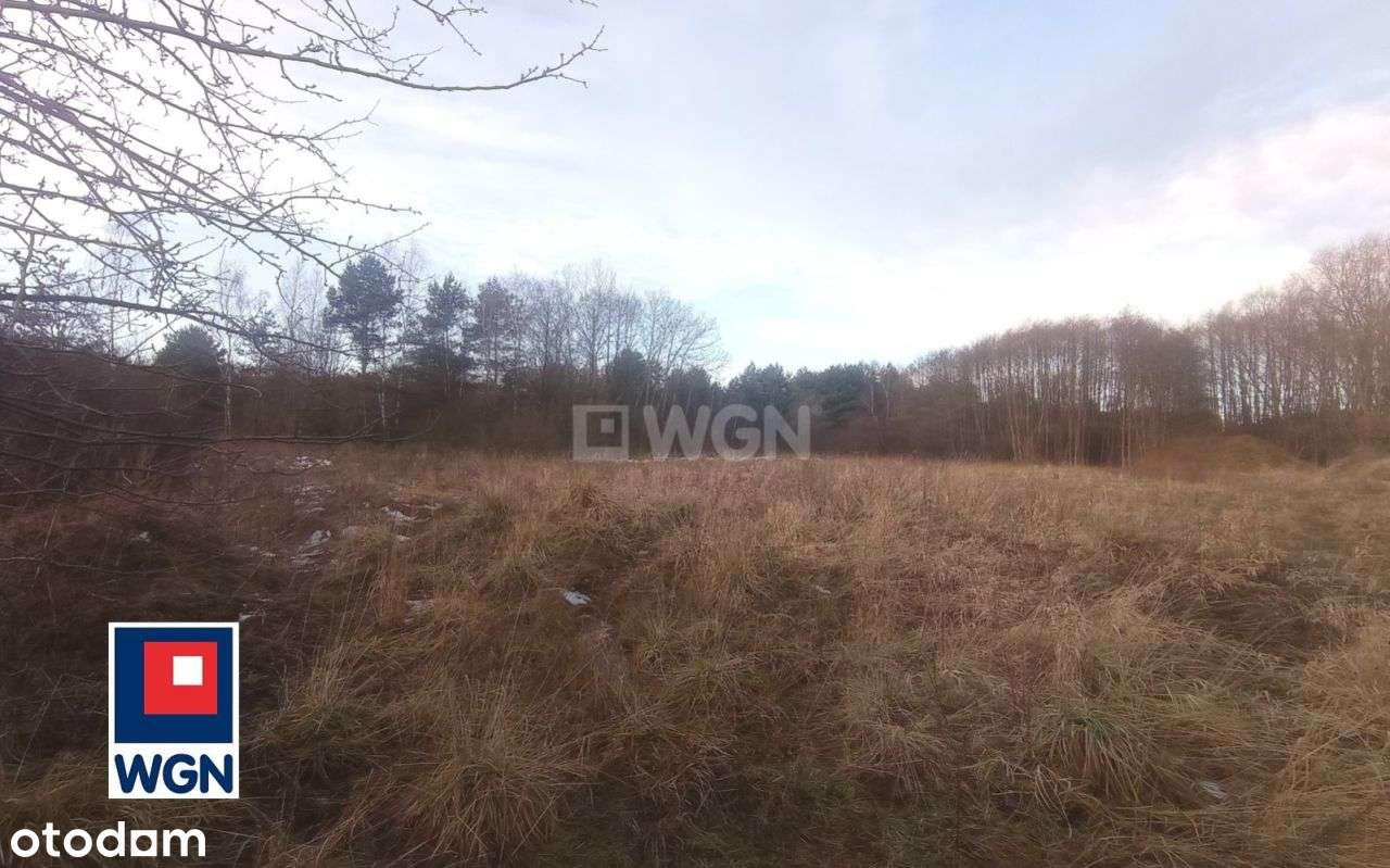 Działka, 4 600 m², Słostowice - Pełny obrazek: 4/19