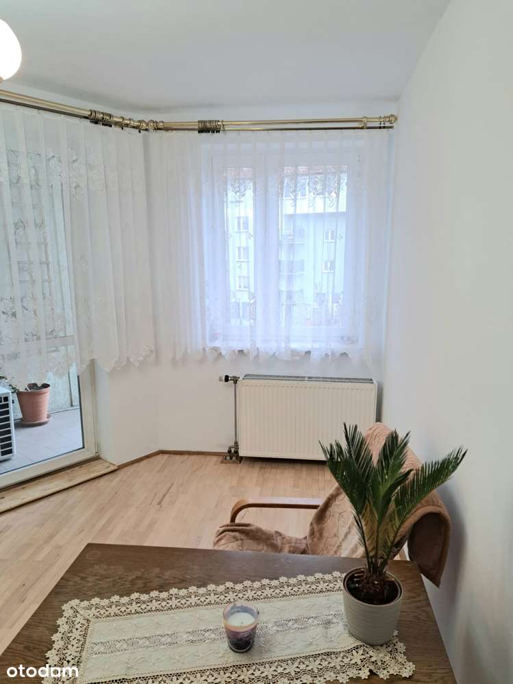 Blisko Starego Miasta i terenów zielonych