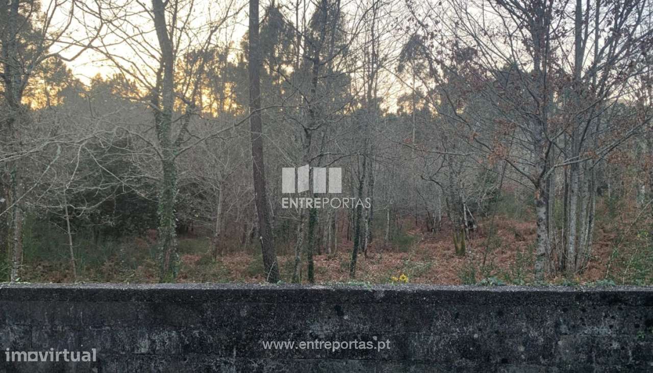 Venda de terreno para construção com 1980m², Meixedo, Viana do Cast - Grande imagem: 3/30