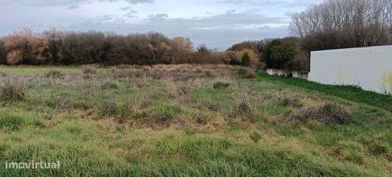 Excelente Terreno Construção Moradias - Ílhavo - Grande imagem: 5/6