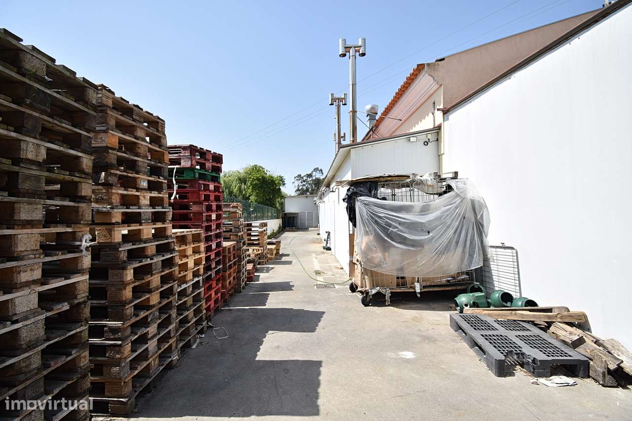 Fábrica em funcionamento para produção alimentar | Cacia, Aveiro-27