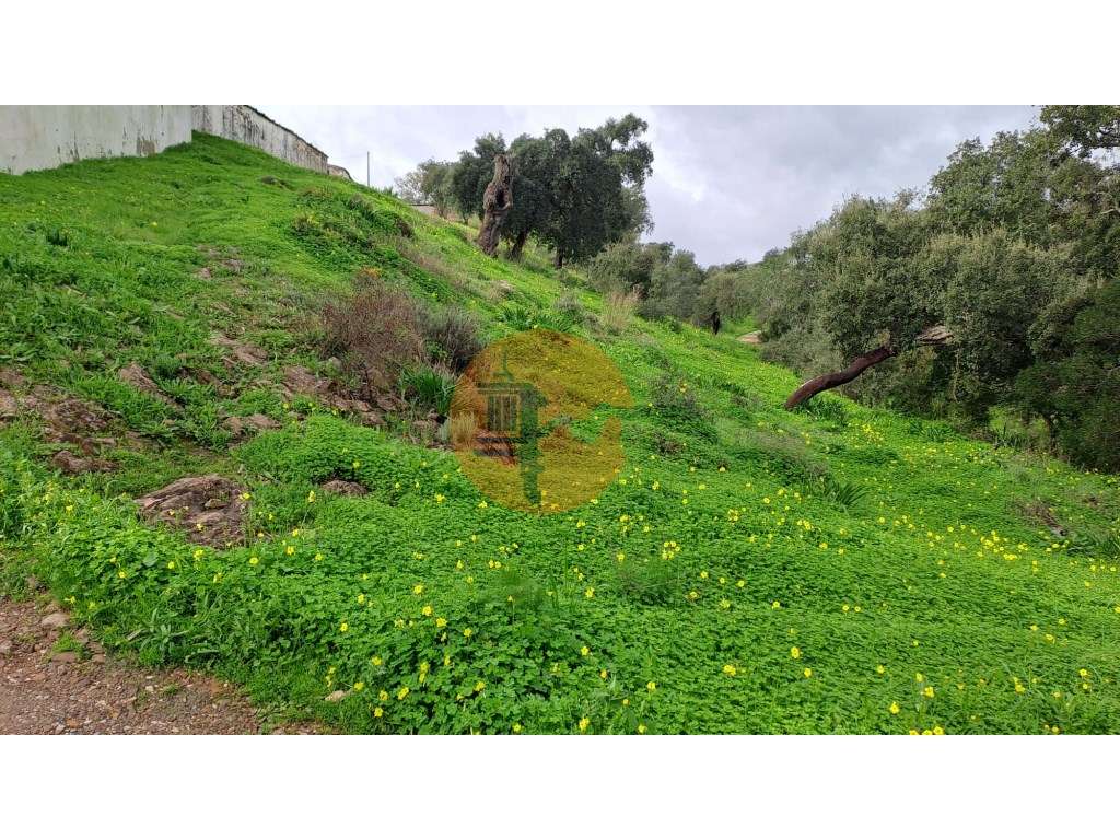 Terreno com 19990 m2 com área total de construção de 1587.62m2 - Grande imagem: 2/17