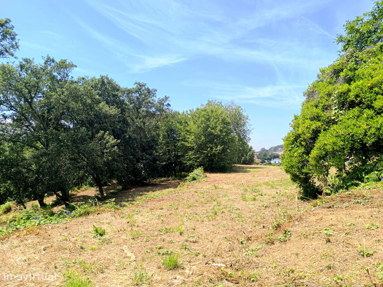 Quinta com 19000 m2 nas margens do Douro-17
