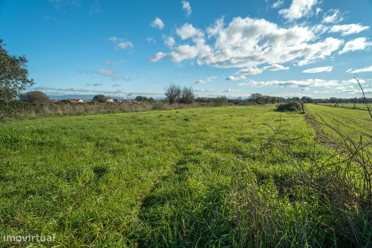 TERRENO–CACIA-AVEIRO - Grande imagem: 4/16