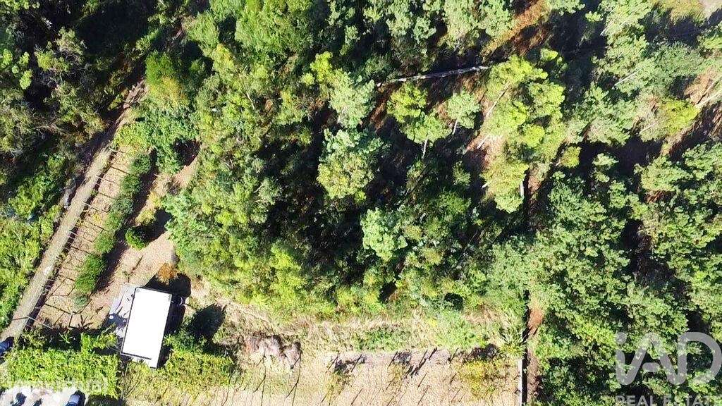 Terreno para construção em Forjães de 2351,00 m2 - Grande imagem: 2/7