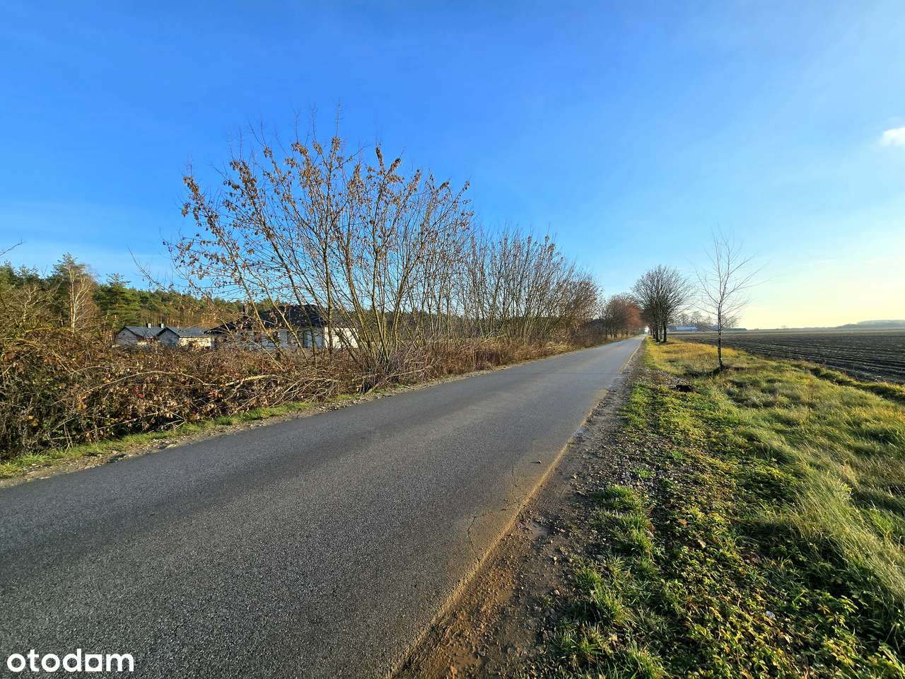 Działki budowlane przy lesie 1343 m2 | media | przy drodze asfaltowej-15