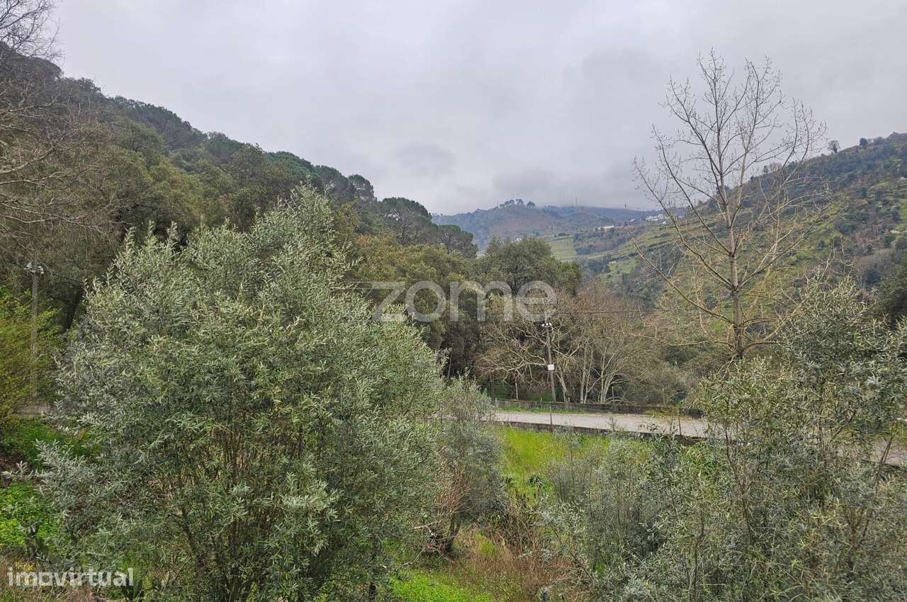 Quinta em Porto de Rei, Mesão Frio, com vistas para o Douro. - Grande imagem: 5/16