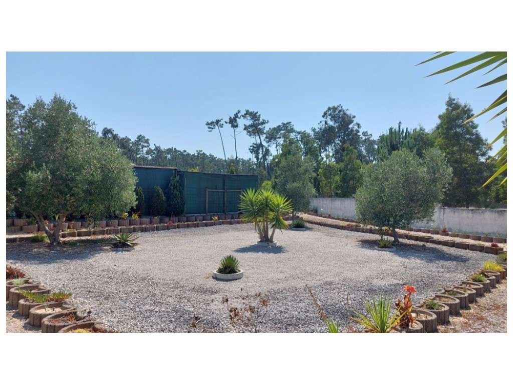 Moradia térrea, individual T4 com piscina e jacuzzi, zona Coimbrão-32