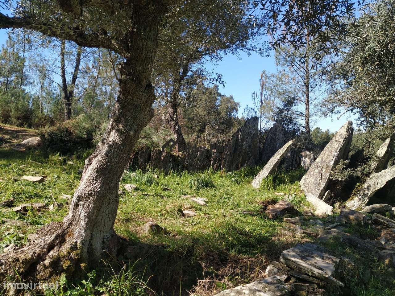 Terreno em Benquerenças - Grande imagem: 2/12