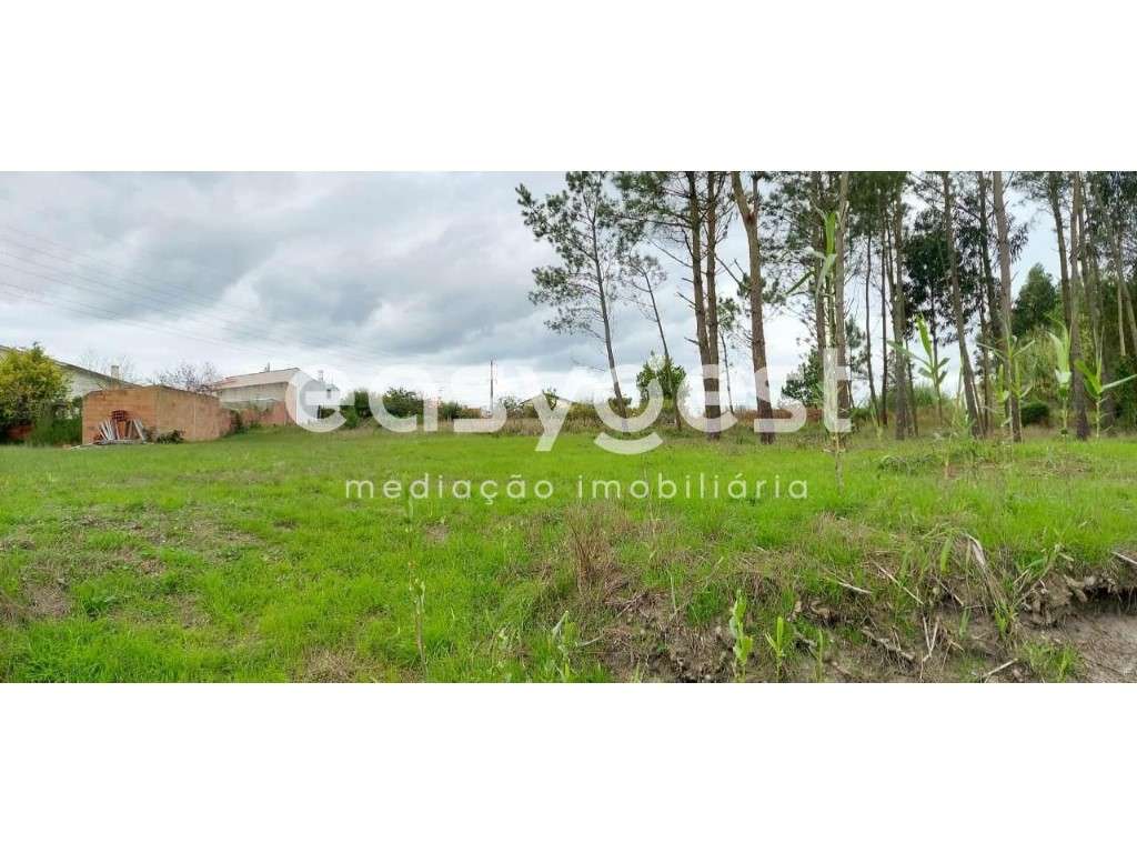 Terreno plano e soalheiro com 1712m2 no Pilado- Marinha Grande - Grande imagem: 3/15