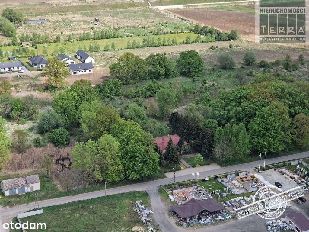 Działka, 24 690 m², Nowy Lubusz - Pełny obrazek: 5/11