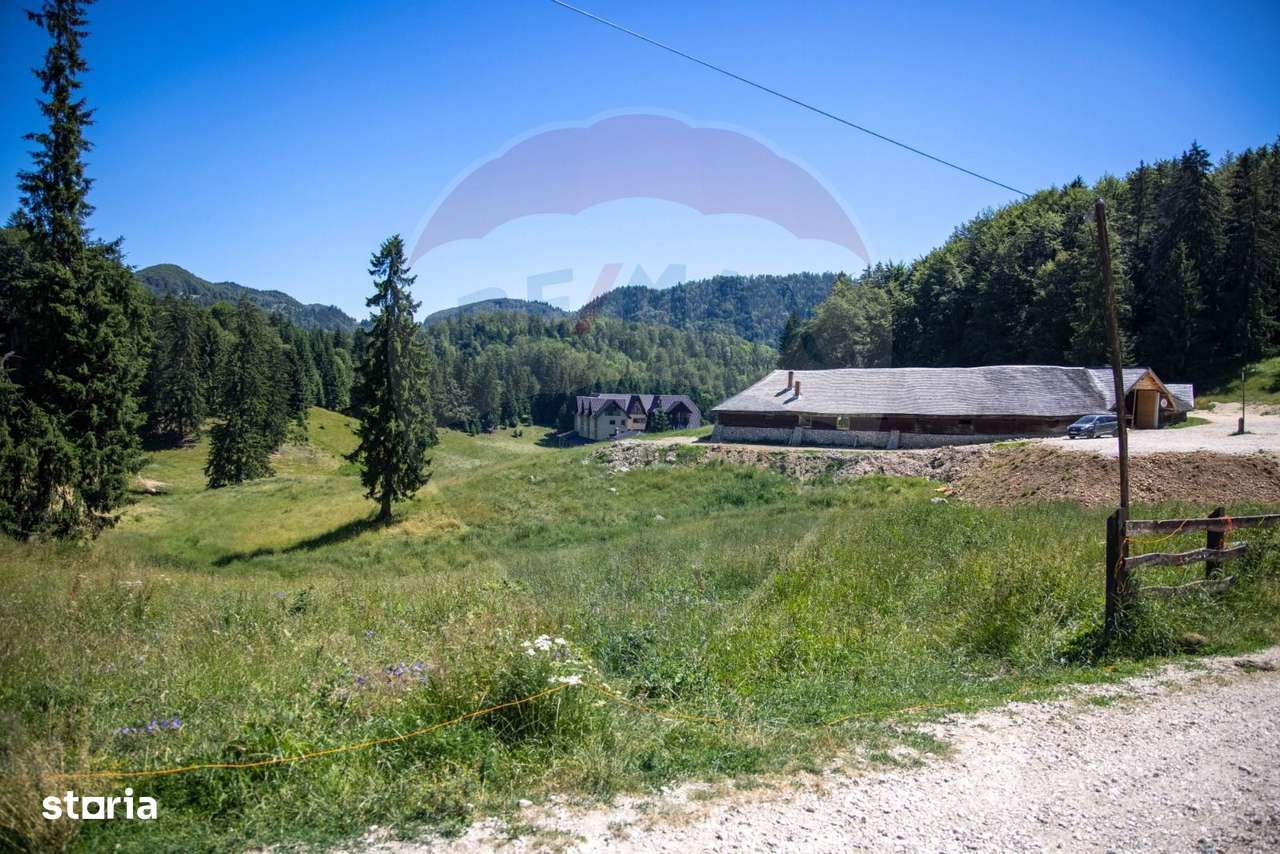 Teren 56599mp Dambovicioara / Soseaua DN 73Dealul sasului! - Imagine principală: 2/15