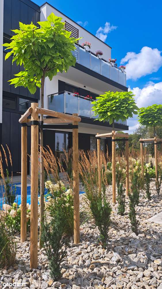 NA WYNAJEM- lokal handlowo-usł. Z6_U4| Biuro rachunkowe - Pełny obrazek: 2/12