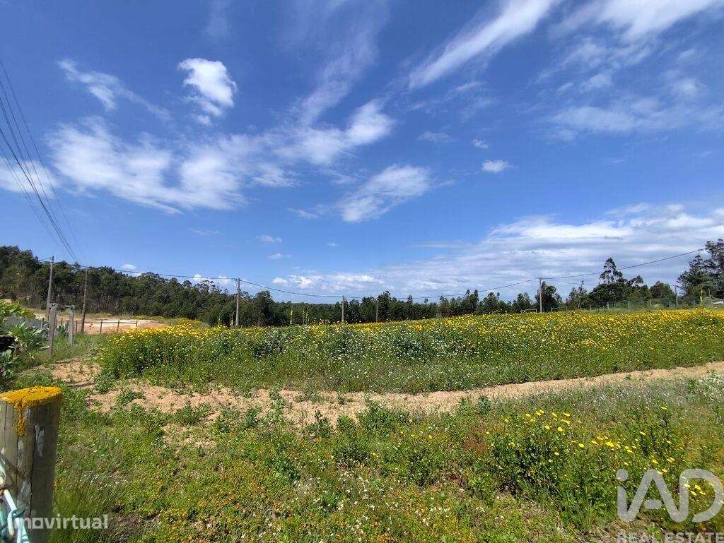 Terreno em Vilar de 2800,00 m2 - Grande imagem: 4/30