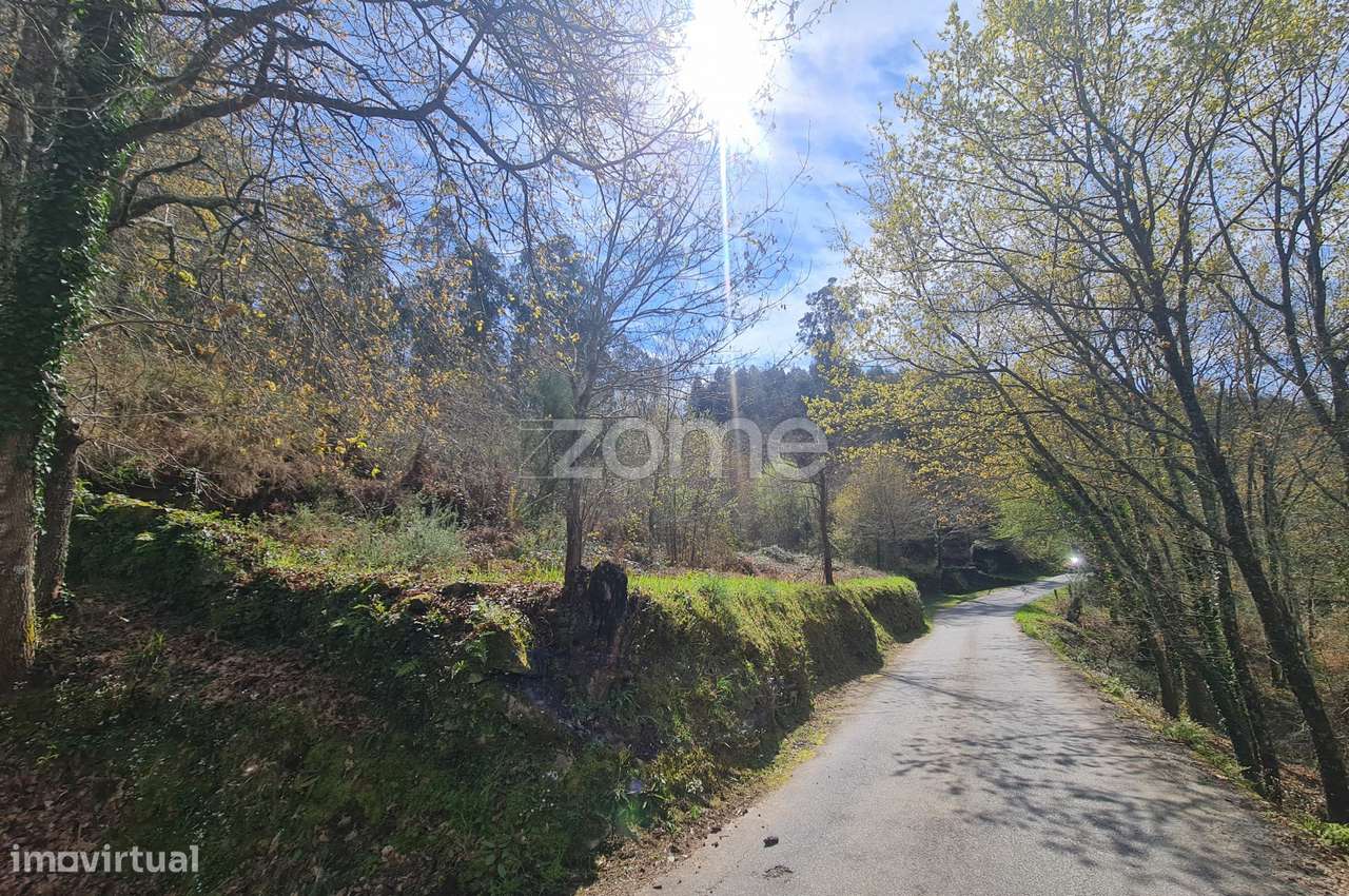 Terreno - Grande imagem: 4/7