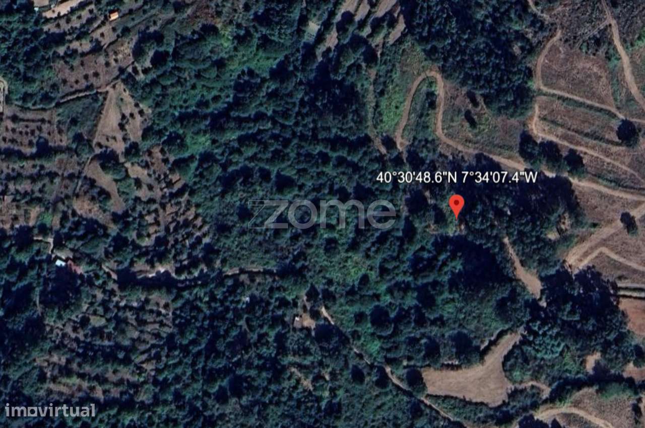 Terreno Rústico - Grande imagem: 3/11