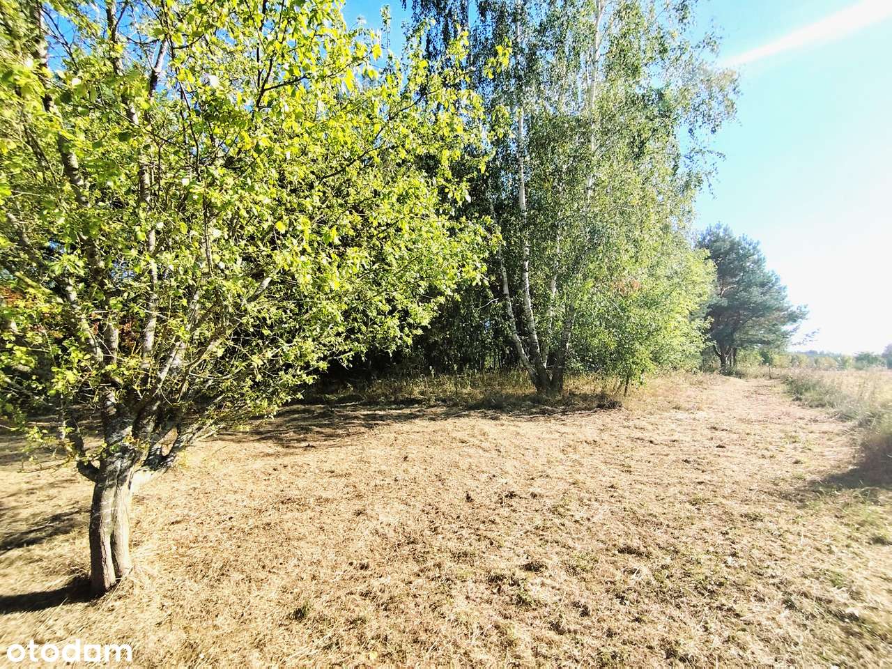 Malownicza działka z warunkami zabudowy-6