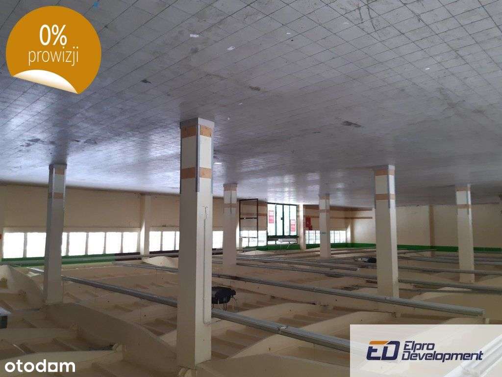 Lokal: Łomża / Legionów - 754 m2 !!! - Pełny obrazek: 3/4