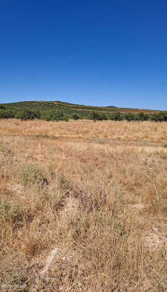 Terreno Rústico com Grande Potencial Agrícola – 7.800 m² em Paderne, A - Grande imagem: 4/10